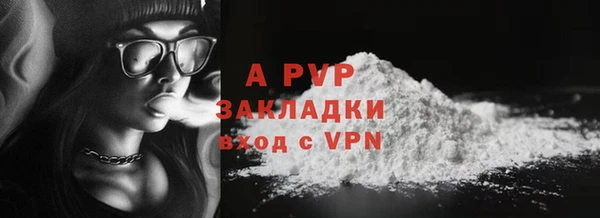винт Алзамай