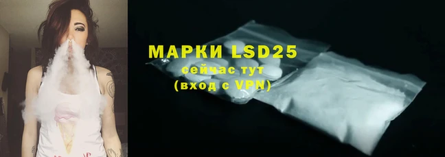 гашик Липки