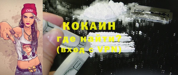 гашик Липки