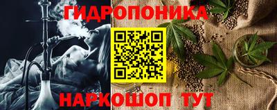 spice Кузнецк