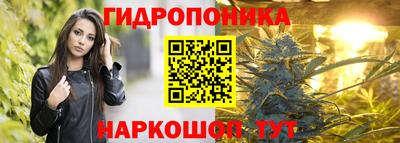 амф Кудрово