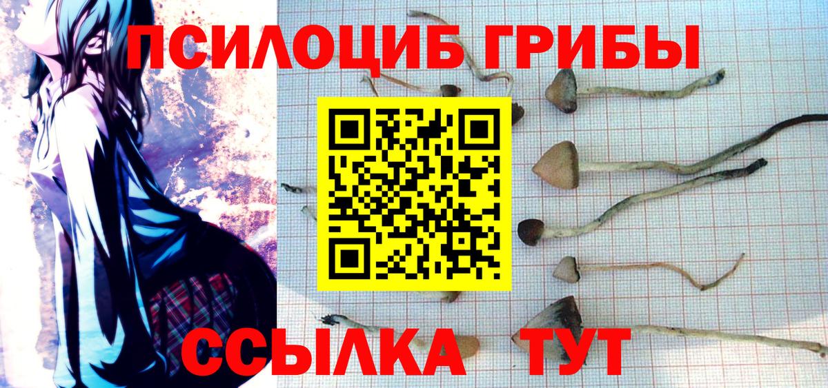 Копейск  закладки  Вход с VPN  Псилоцибиновые грибы мухоморы 